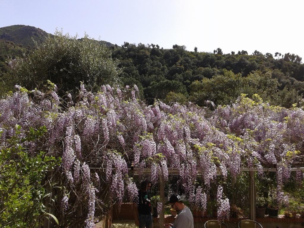 B&B La Quercia San Gregorio  Exterior photo