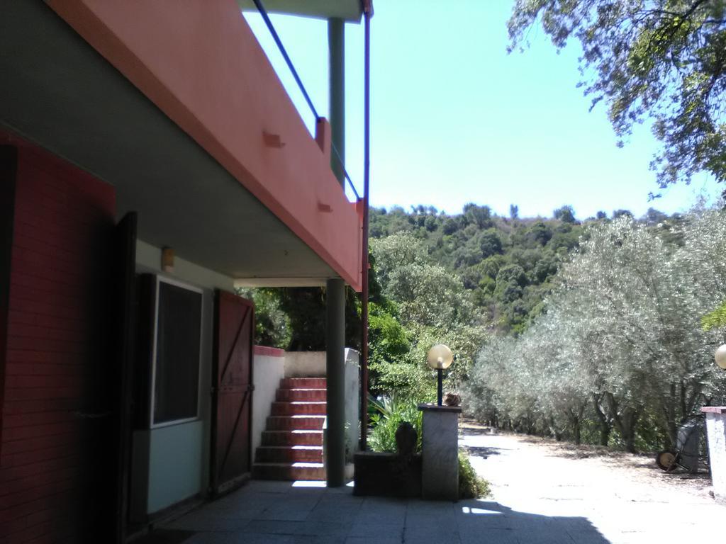 B&B La Quercia San Gregorio  Exterior photo